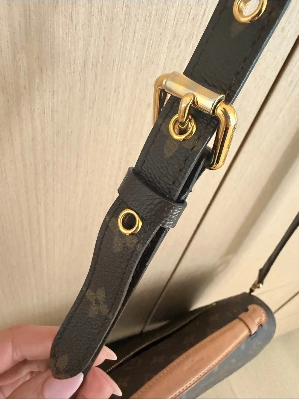 Louis Vuitton Monogram Canvas Crossbody with Gold Hardware